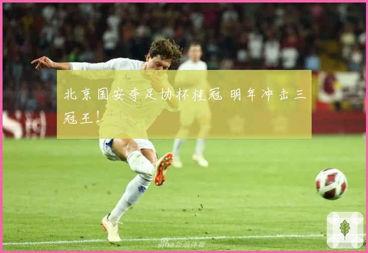 北京国安夺足协杯桂冠 明年冲击三冠王！